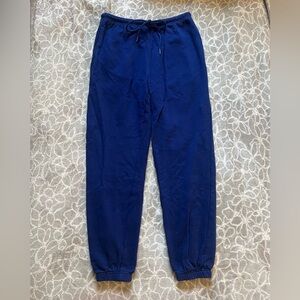 NWOT blue Forever 21 sweatpants